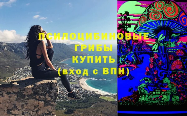 дживик Михайловск
