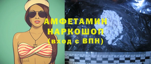 гидра Медвежьегорск