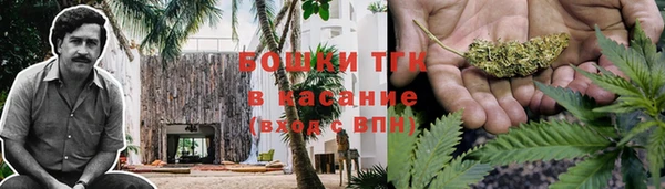 дживик Михайловск