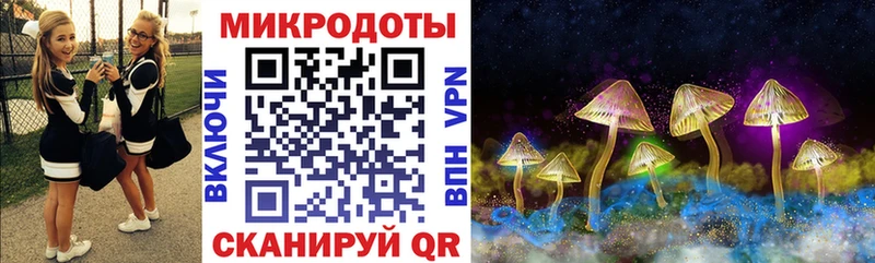 Псилоцибиновые грибы Cubensis  Звенигово 